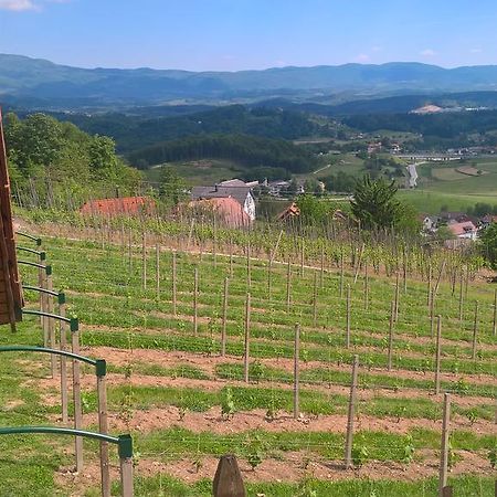 Vineyard Cottage Lustek Ново Место Екстериор снимка