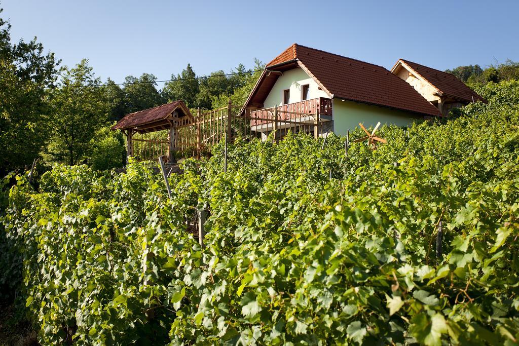 Vineyard Cottage Lustek Ново Место Екстериор снимка