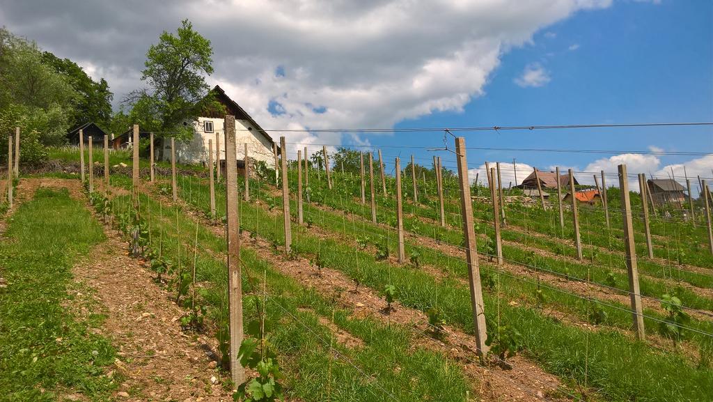 Vineyard Cottage Lustek Ново Место Екстериор снимка