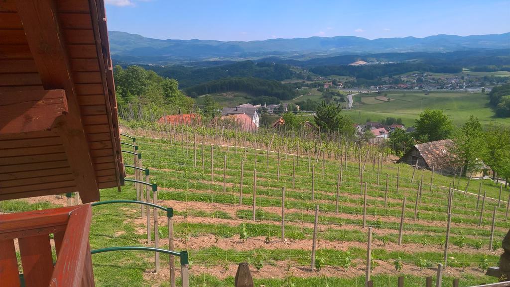 Vineyard Cottage Lustek Ново Место Екстериор снимка
